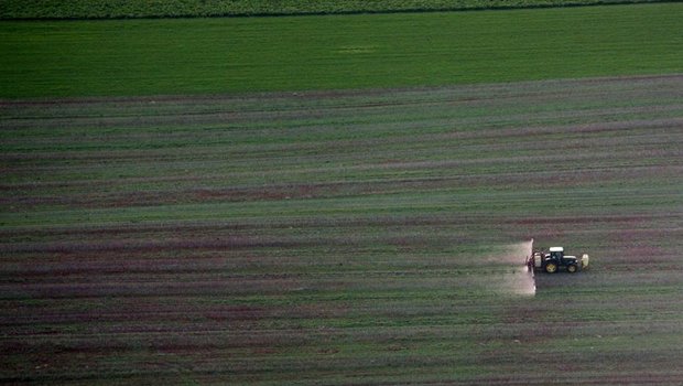 Die Knospe-Organisation fordert unter anderem Lenkungsabgaben auf Pestizide. (Bild Cécile Brabant/landwirtschaft.ch)