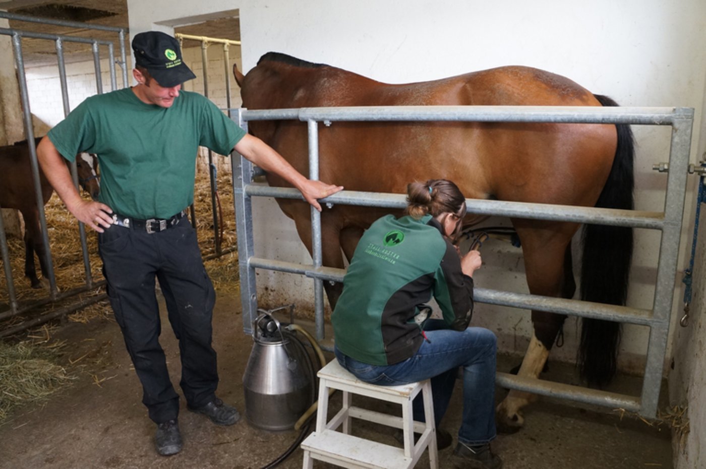 Melken ist meist die Aufgabe von Manuela Kuster. 