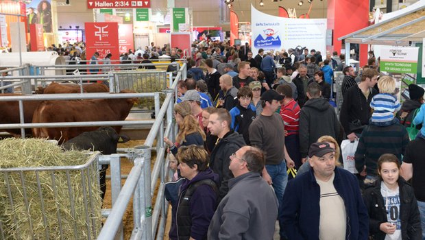 An der Suisse Tier erfuhren die Besucher das Neueste zur Nutzviehhaltung. (Bild zVg)