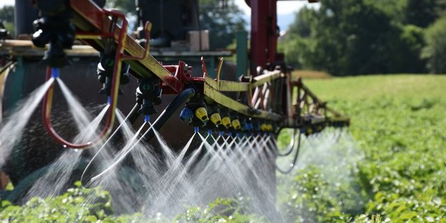 Was in der Schweiz verboten ist – zum Beispiel das Pflanzenschutzmittel Benevia – darf im Ausland noch eingesetzt und in die Schweiz importiert werden. (Bild Thomas Steiner/BauZ)