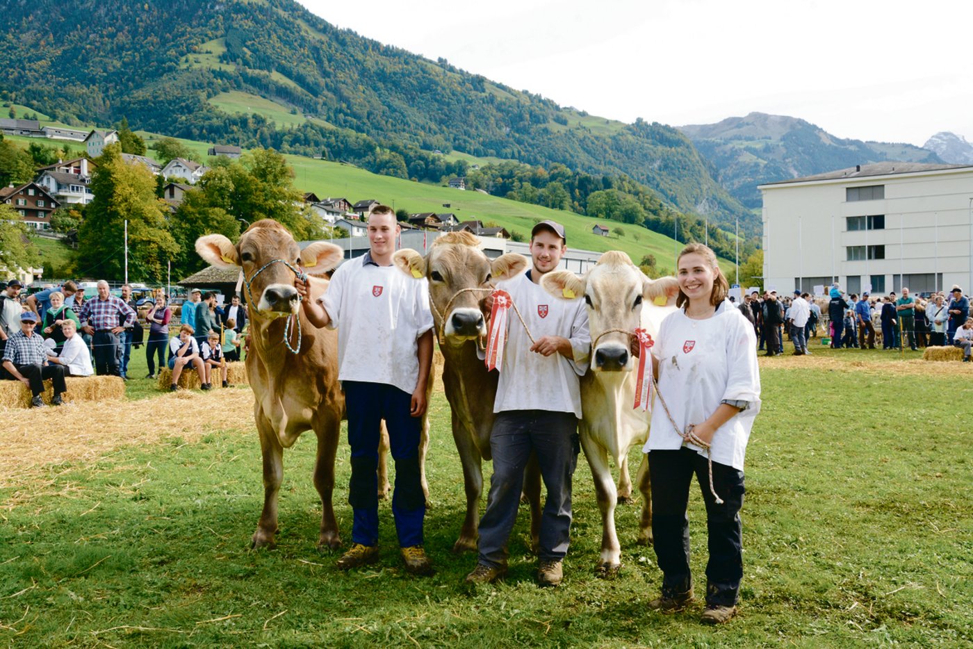 Das Podest der BS-Kühe (v. l. n. r.): Blooming Belinda von Martin Risi, Dallenwil (3.); Siegerin Sesam Swetlana von Sepp Lussi, Oberdorf; Natura Nirvana von Sepp Lussi (2.).