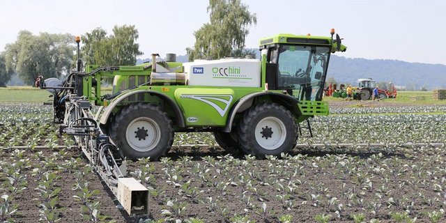 Der Ständerat will sich bei der Reduktion von Pflanzenschutzmitteln auf den Aktionsplan des Bundes abstützen. (Bild lid)