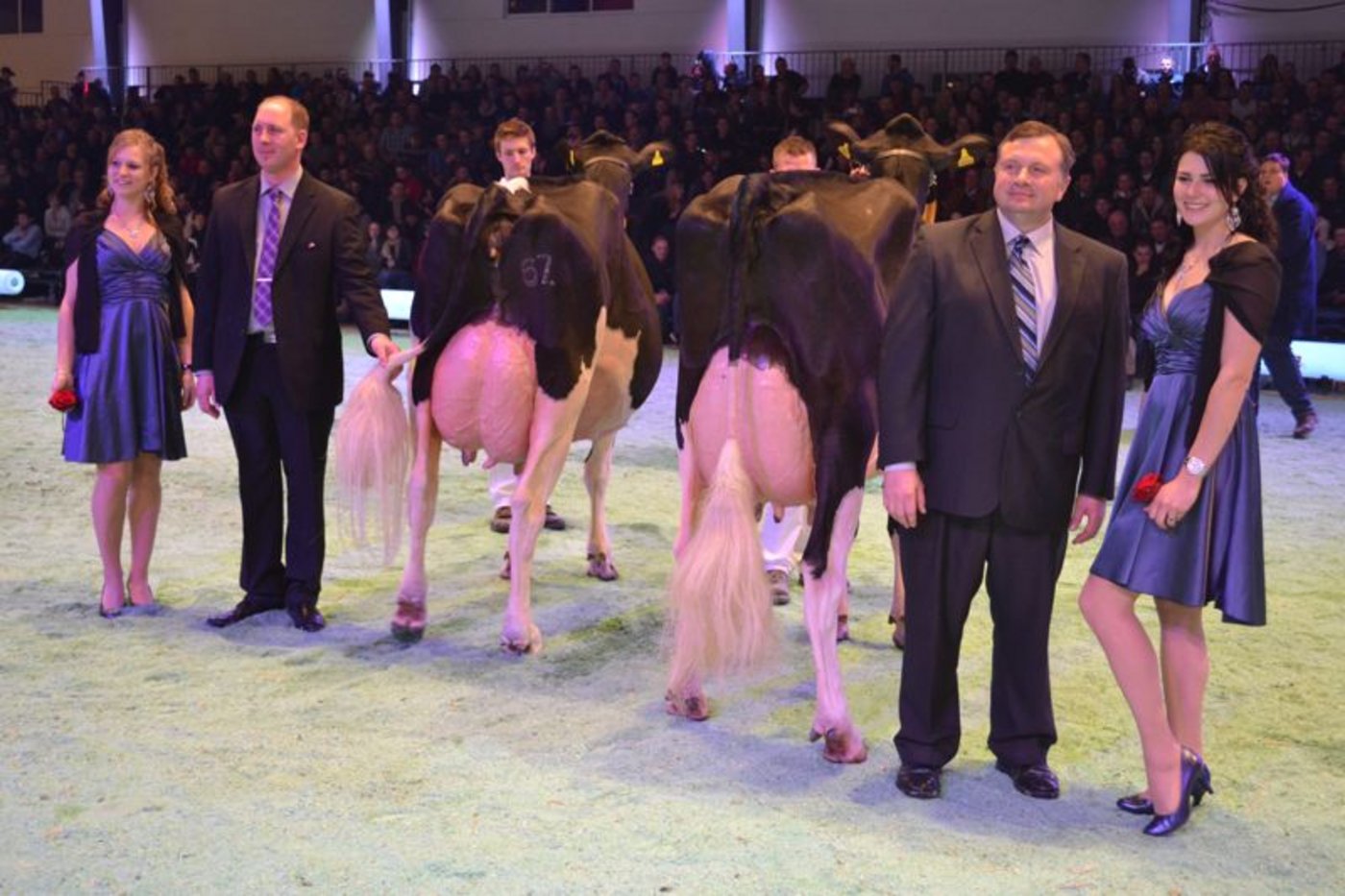 Senior Schöneuter (rechts): Clos Du Praz Goldwyn Prudence, Jean-Louis Fragniere, Avry-dt Pont / Reserve Senior Schöneuter: Pagewire Delicieuse, Gobeli Holstein, Saanen
