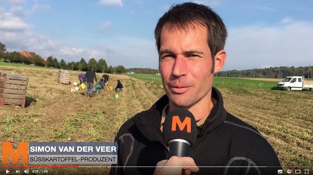 Im Video erzählt Simon van der Veer über seinen Anbau von Süsskartoffeln. (Bild Screenshot Youtube)