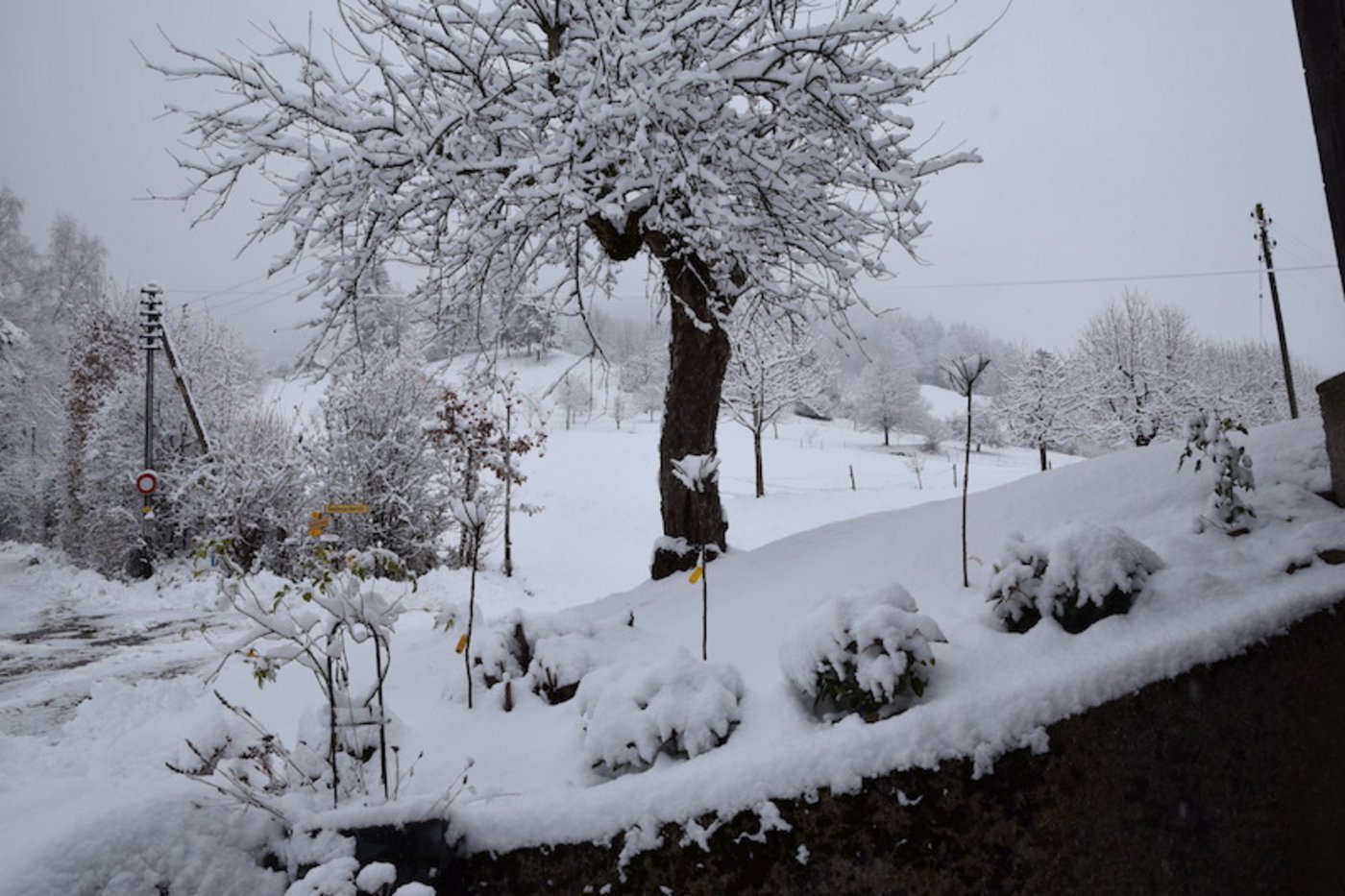 Hof Bodengut hübsch eingeschneit.