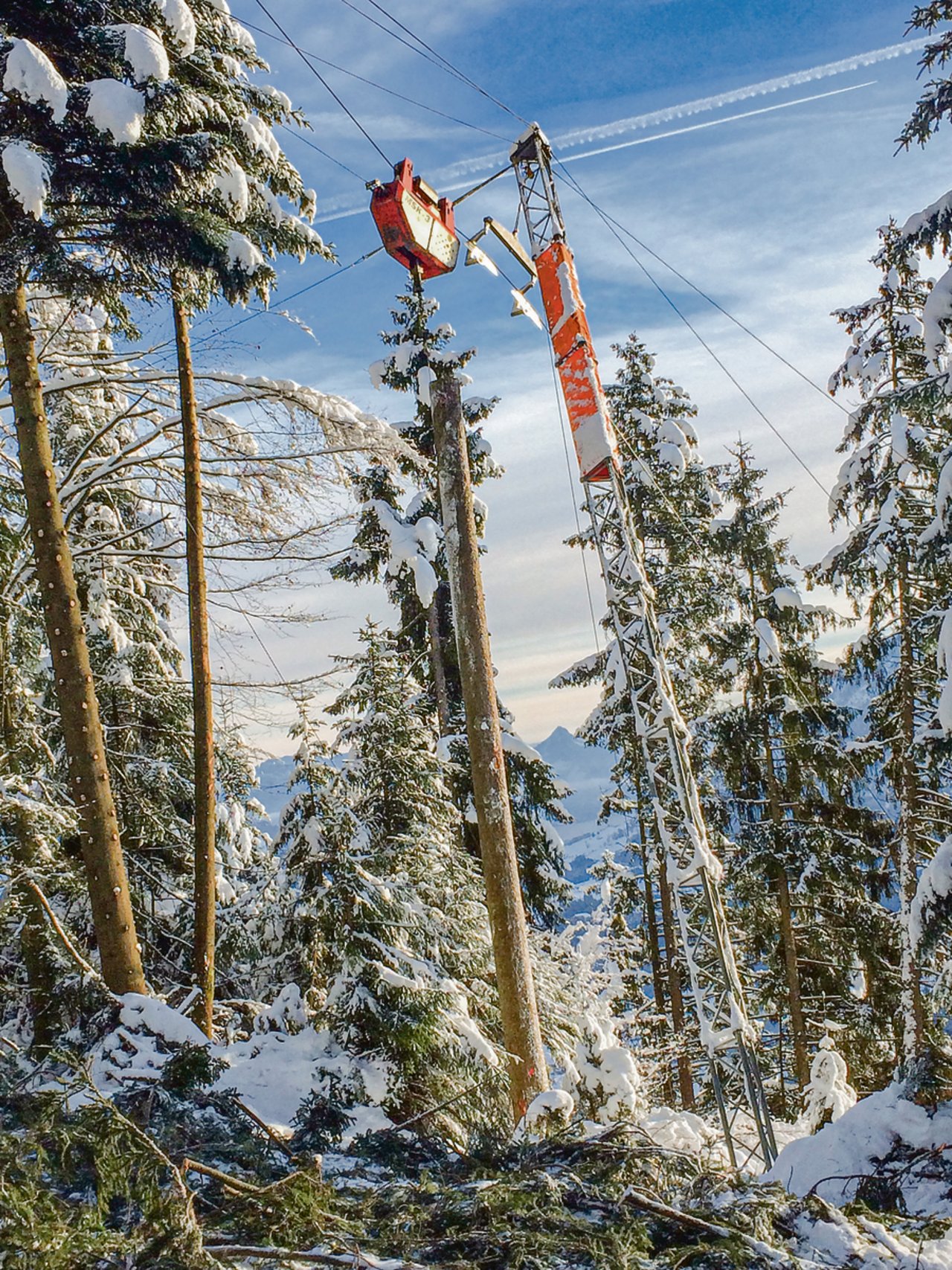 Holz zum Bauen ist gefragt, das bedingt regelmässige Nutzung der Wälder: Seilkraneinsatz an steilen Lagen. (Bild Riebli Forst AG)