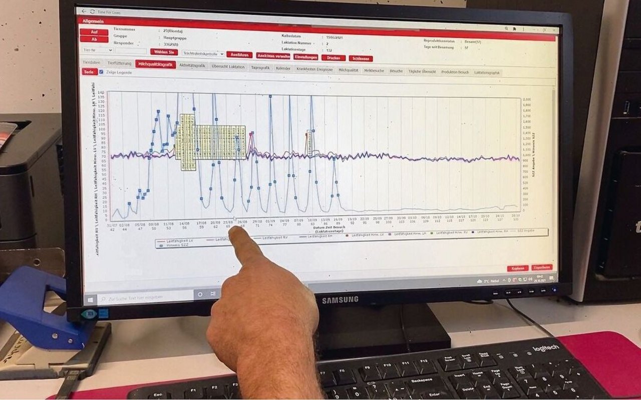 Anhand der Milchdaten analysiert Rickli seine 48 Kühe. Die Zellzahl der Kuh Bionda sank nach der Verabreichung massiv.