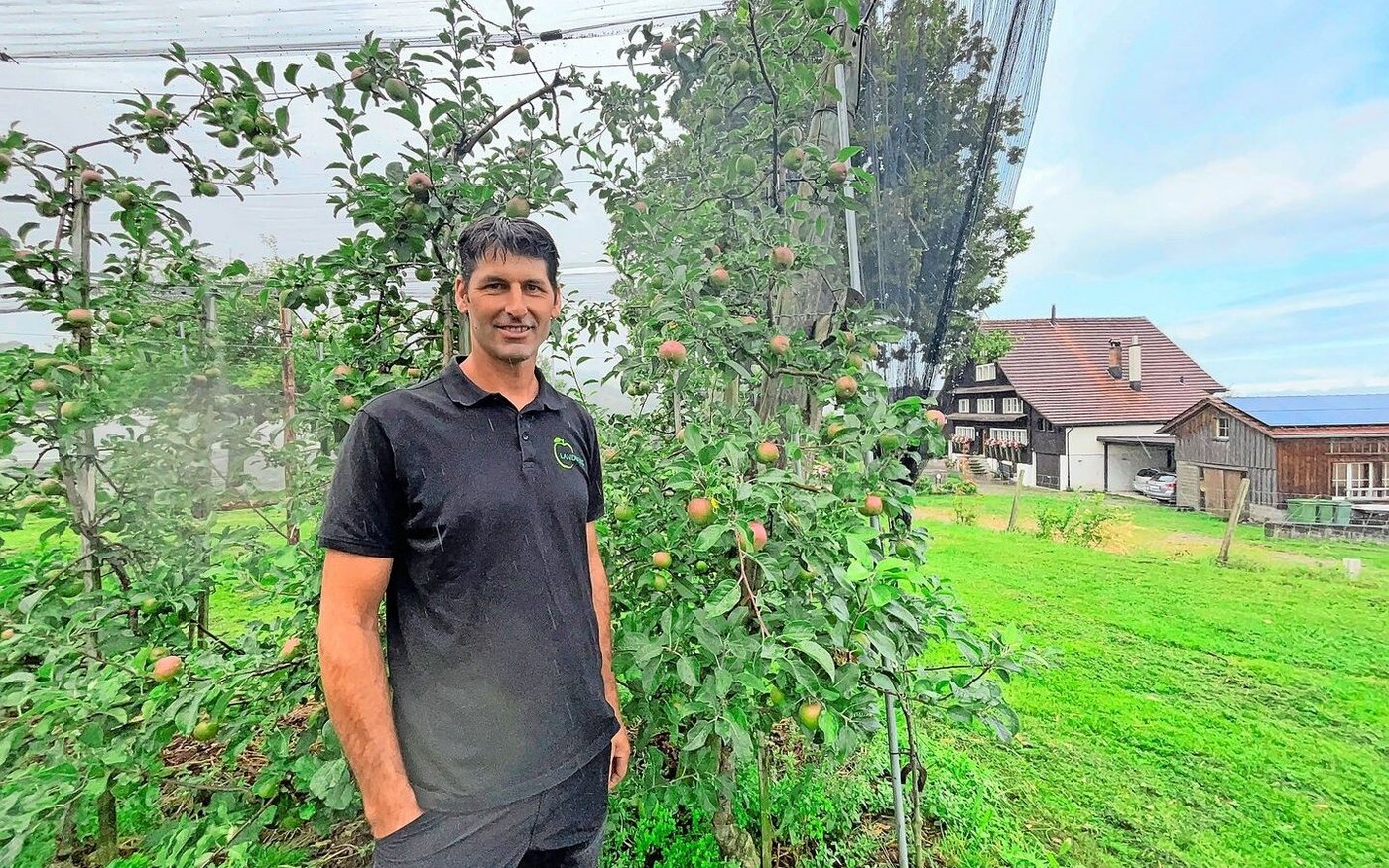 Roman Stüdli freut sich auf die guten Ernteaussichten in diesem Jahr. 2024 hatten Stüdlis im Gegensatz zu vielen Obstbauern Pech. Im Mai 2024 hatte ein lokales Hagelereignis einen Grossteil der Ernte zerstört. 