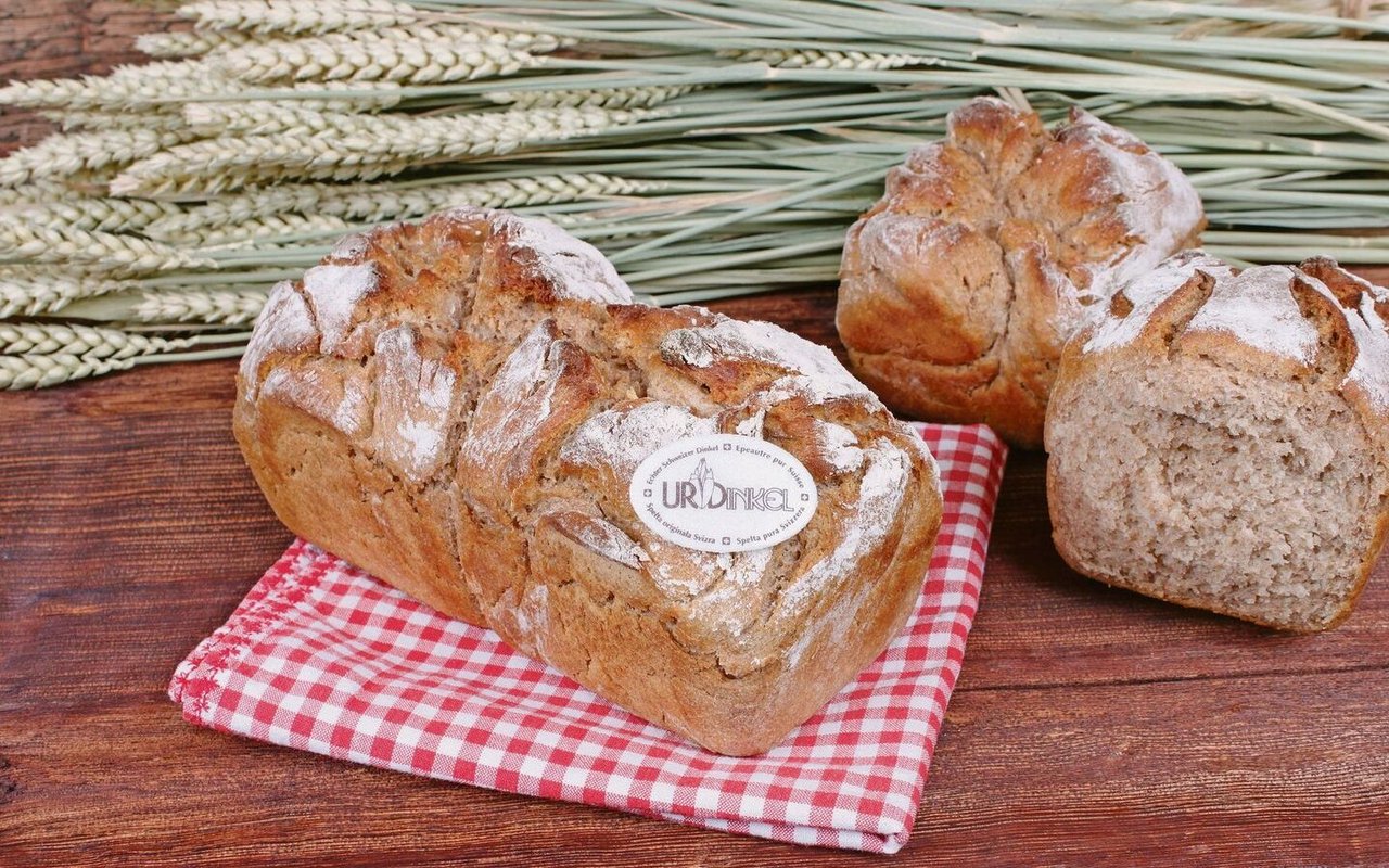 Urdinkel ist eine geschützte Marke. Bäcker, die ihre Brote mit dem Signet auszeichnen wollen, müssen dafür lizenziert sein.