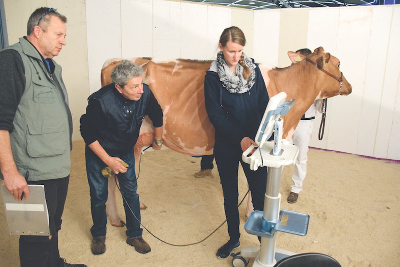 Mit Ultraschall werden die Euter auf Ödeme kontrolliert. Es sei ein gutes Mittel, sind die Verantwortlichen überzeugt. (Bild Adrian Krebs)