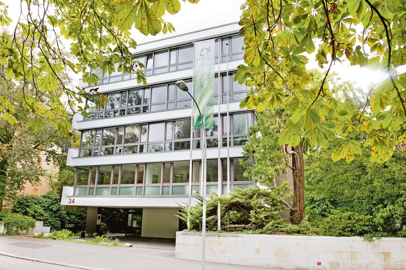 «Wichtig ist, dass die Geschäftsstelle das macht, was der Verband will», sagt Balz Strasser zu gelegentlichen Dissonanzen mit der Basis. Im Bild der Sitz des Verbands in Basel. (Bild pd)