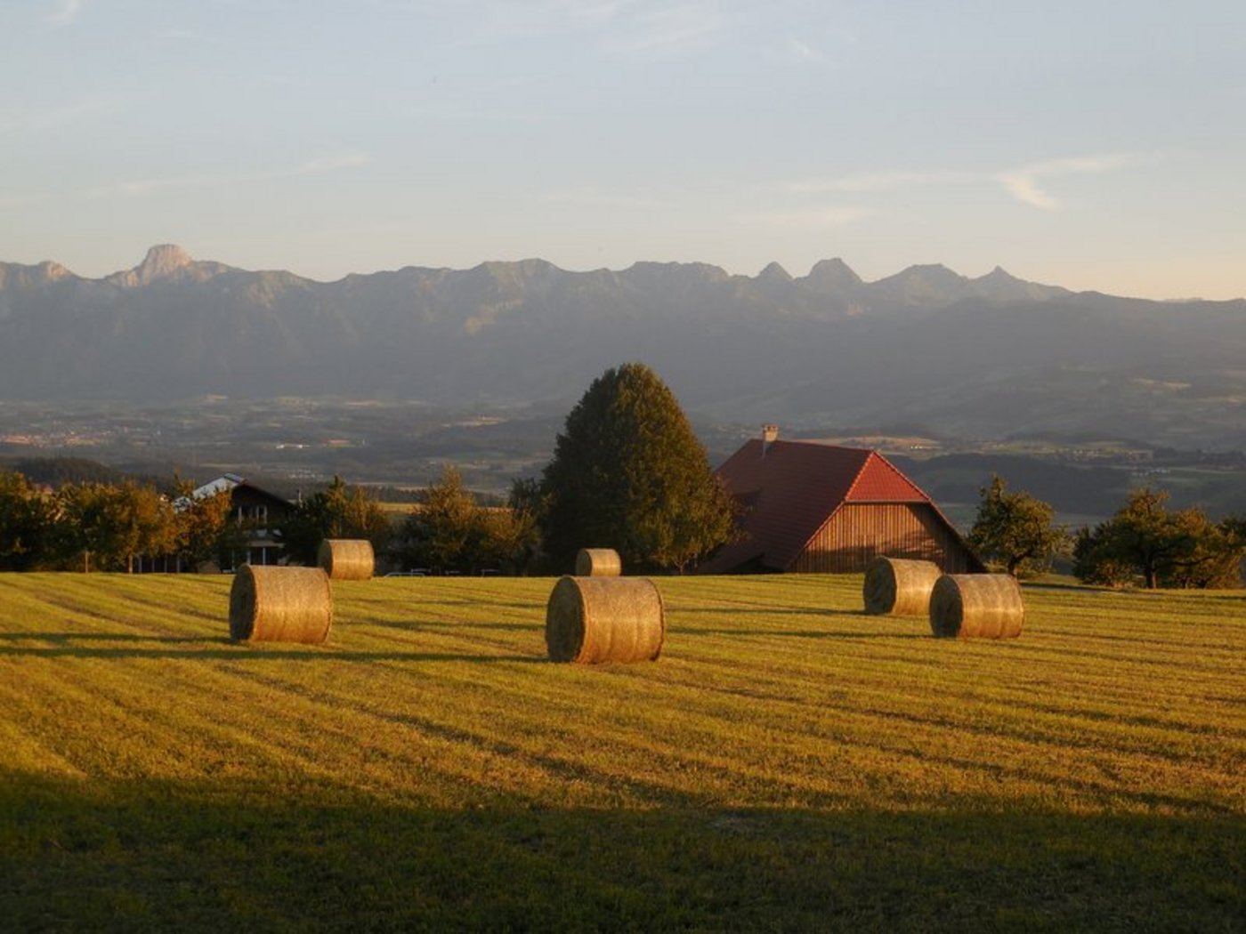 Fast alle Bauern bewirtschaften Pachtland. (Bild Aline Küenzi) 
