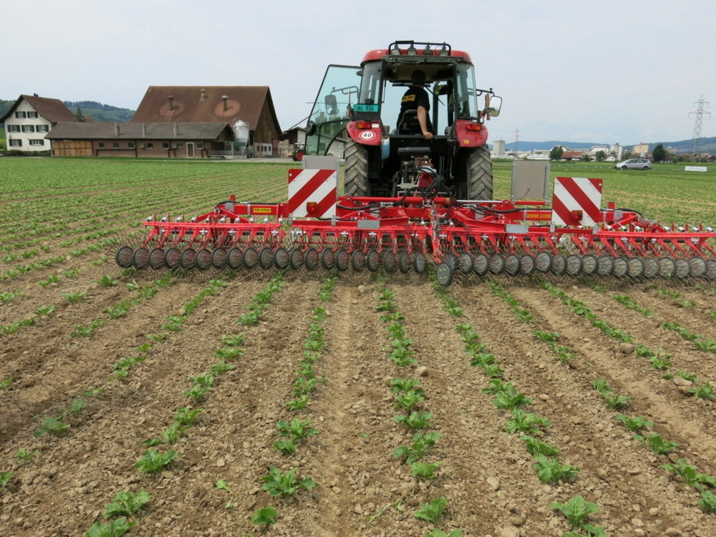 REB (Pflanzenschutz) – bei diesem Programm kommt dem Hacken eine grosse Bedeutung zu. (Bild Andreas Bertschi)