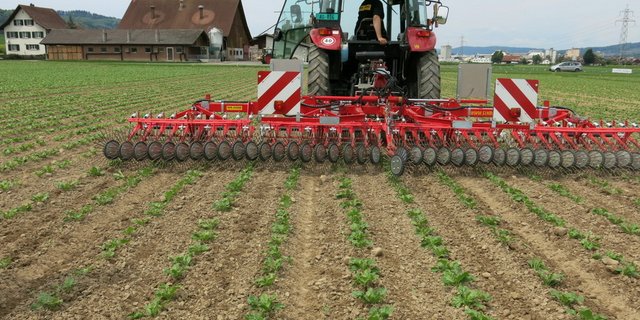 REB (Pflanzenschutz) – bei diesem Programm kommt dem Hacken eine grosse Bedeutung zu. (Bild Andreas Bertschi)