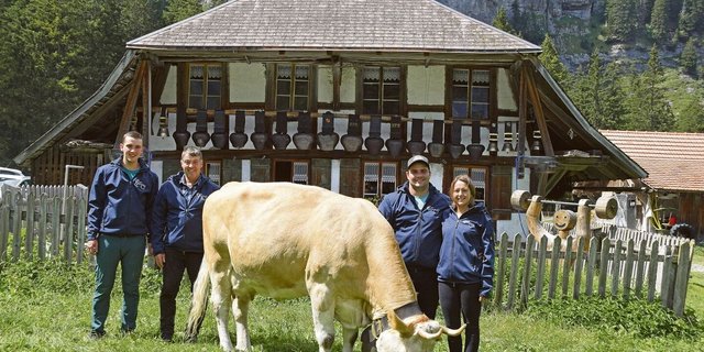 Die BauernZeitung begleitete dieses Jahr die Familie Hanspeter Ryter aus Kandergrund mit ihrer berühmten Simmentalerkuh Amylou. Von der BEA in Bern bis hin zum Alpabzug. 