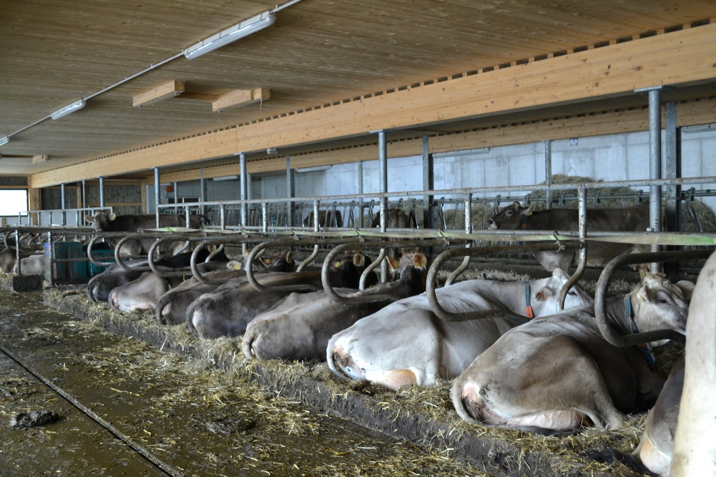 Der neu erstellte Laufstall von Paul und Silvia Britschgi-Kathriner in Stalden steht an einem besonderen Standort.