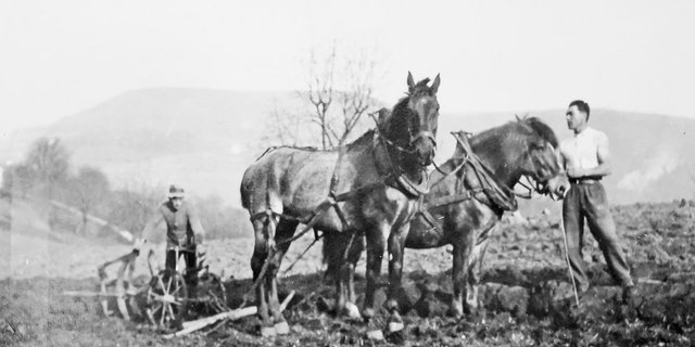Arbeiten mit Pferden will gelernt sein. Insbesondere, wenn man in die 3. Klasse geht und noch nie eins geführt hat. (Bild Grieb)
