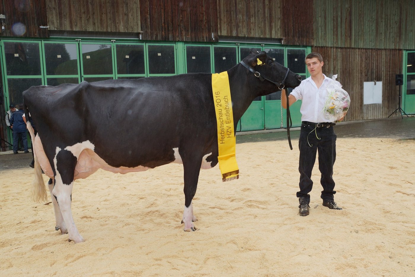 Seriensiegerin Side Roxette von Leo Duss, vorgeführt von Stefan Duss, Doppleschwand. (Bilder Guido Bucher)