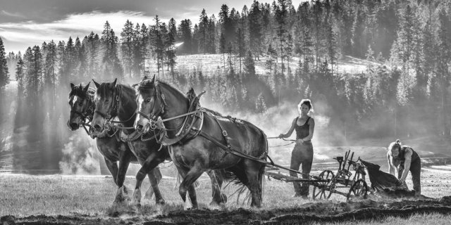Ein Bild wie aus einer anderen Zeit: Jonas und Lilly Lichtenberger beim frühmorgendlichen Pflügen mit Pferden in der Juralandschaft der Vallée de la Brévine. 