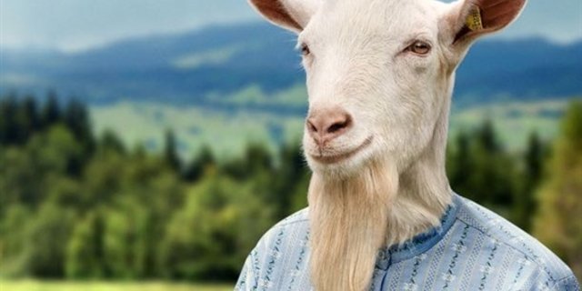 Auch Geissbock Konrad in der Kampagne «Gut, gibt's die Schweizer Bauern» trägt Edelweisshemd. (Bild pd)