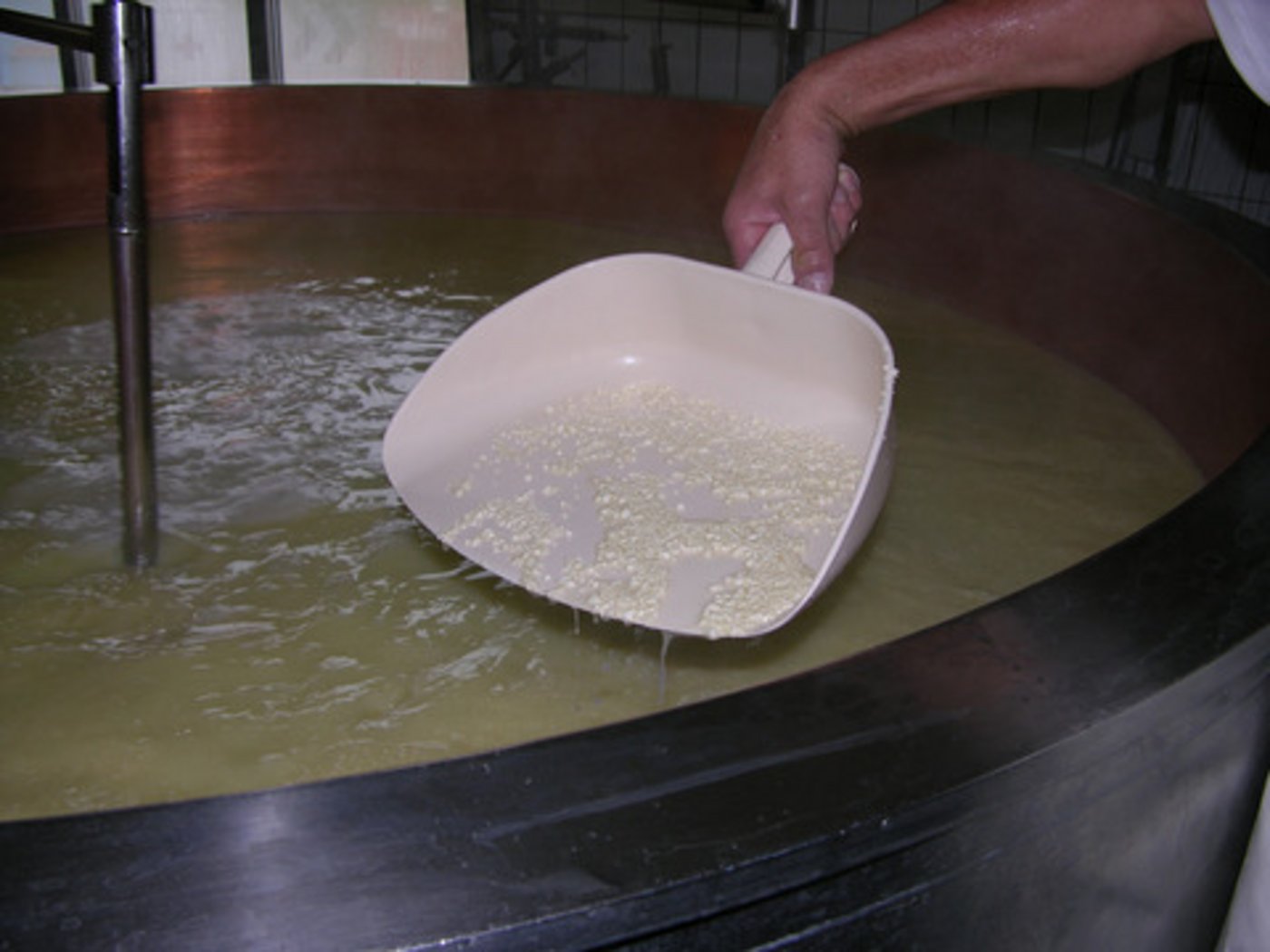 Auch ein Käser zeigt sein Handwerk im Museum vor. (Bild BauZ)