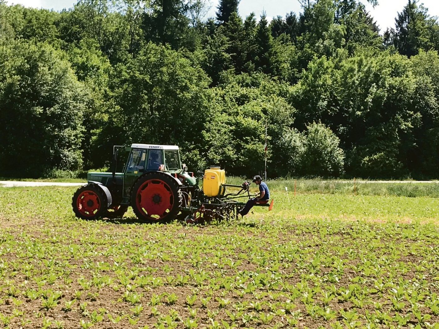 Hacken und Bandspritzen können gleichzeitig oder nacheinander erfolgen. Bei Bedarf lassen sich ältere Hackgeräte mit einer Bandspritze nachrüsten(Bild Alexandra Stückelberger)