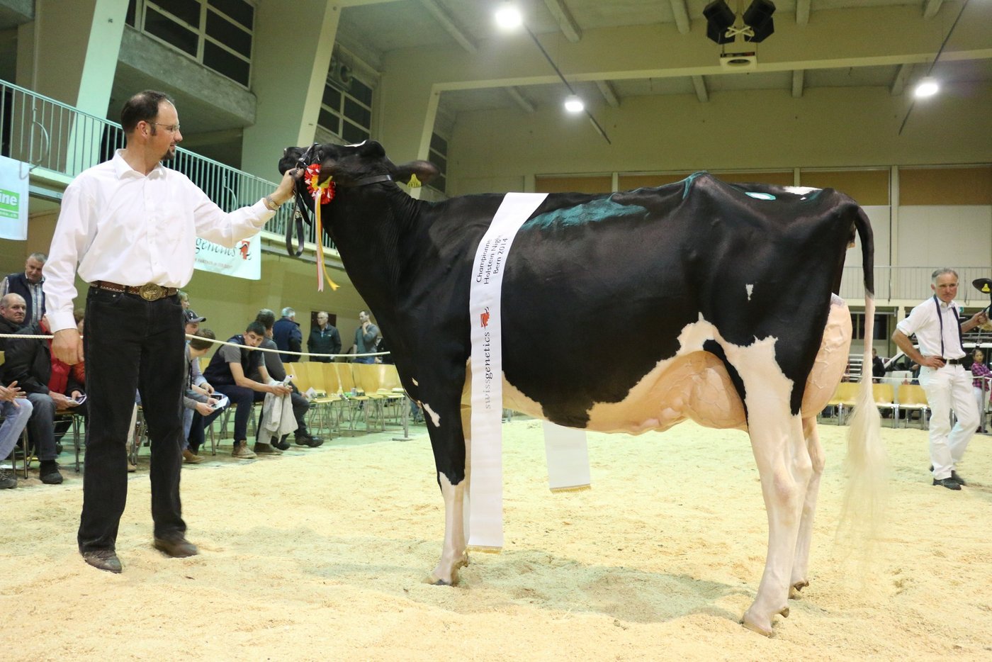 Holte sich in Burgdorf den Championne-Titel: Knowledge Lisette von Marc und Erhard Junker, Iffwil. (Bild Franziska Schwab)