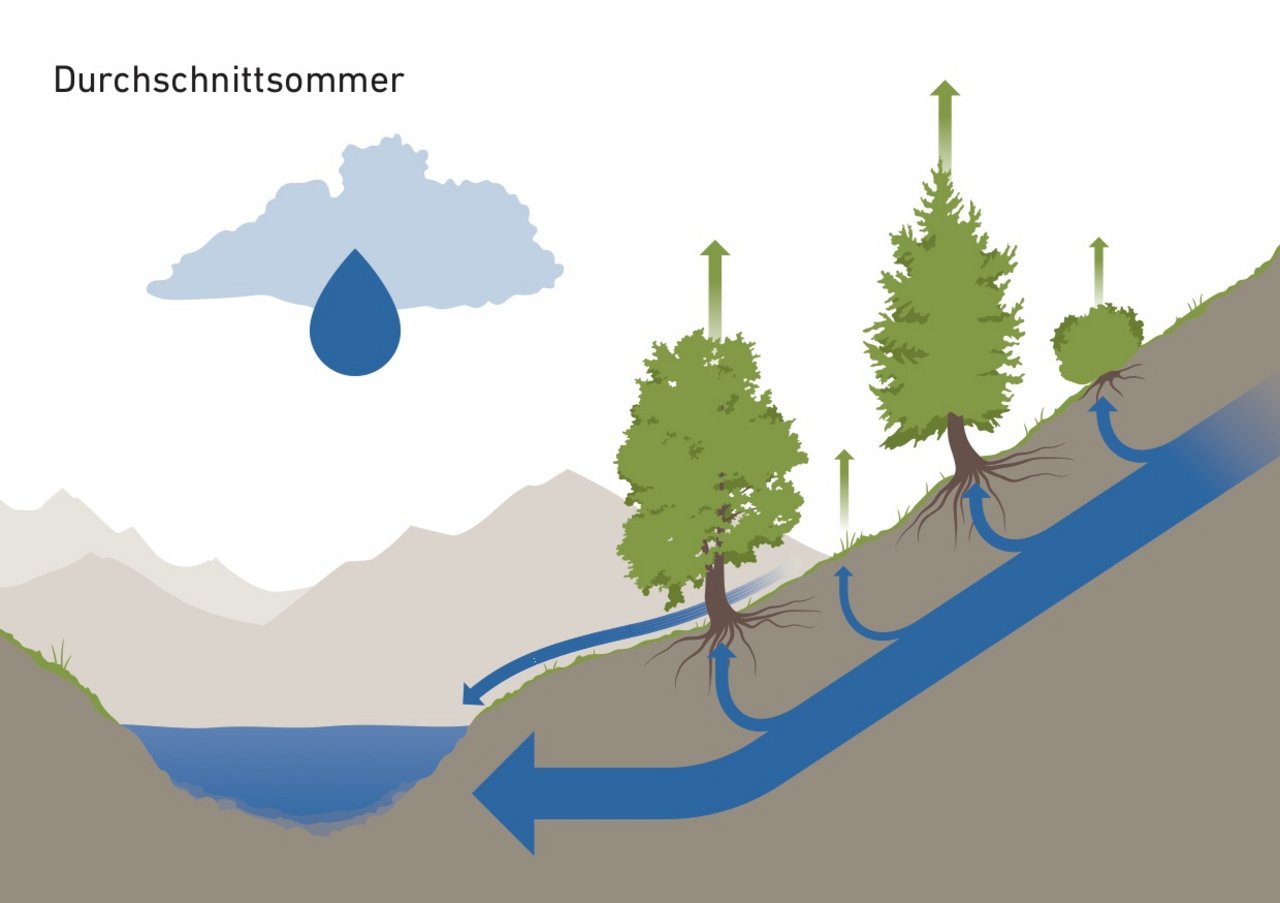 In einem durchschnittlichen Sommer gibt es genügend Regen für die Pflanzen und auch (unterirdische) Bäche und Flüsse. (Grafiken zVg)