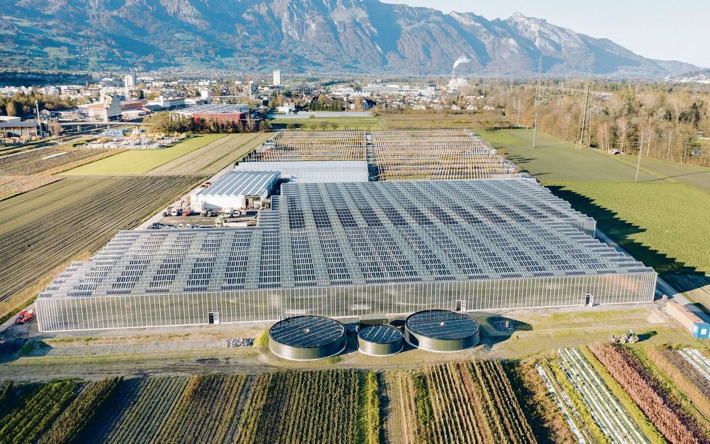 Blick von oben auf den Neubau in Buchs mit den bestehenden Gewächshäusern im Hintergrund.