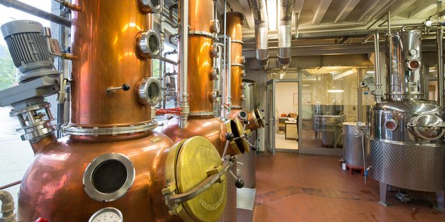 Anstatt in die Brennerei sollen die Kirschen in die Konserven. (Bild Schweizer Brenner)