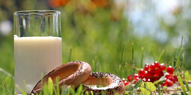 Weder bei den Analysen noch der Datenübermittlung der Gefrierpunkte sind Fehler aufgetaucht. Die Werte können aber von vielen Faktoren beeinflusst werden, die nicht zu sanktioniere sind – z. B. schnell wachsendes Gras im Sommer. (Bild Pixabay)