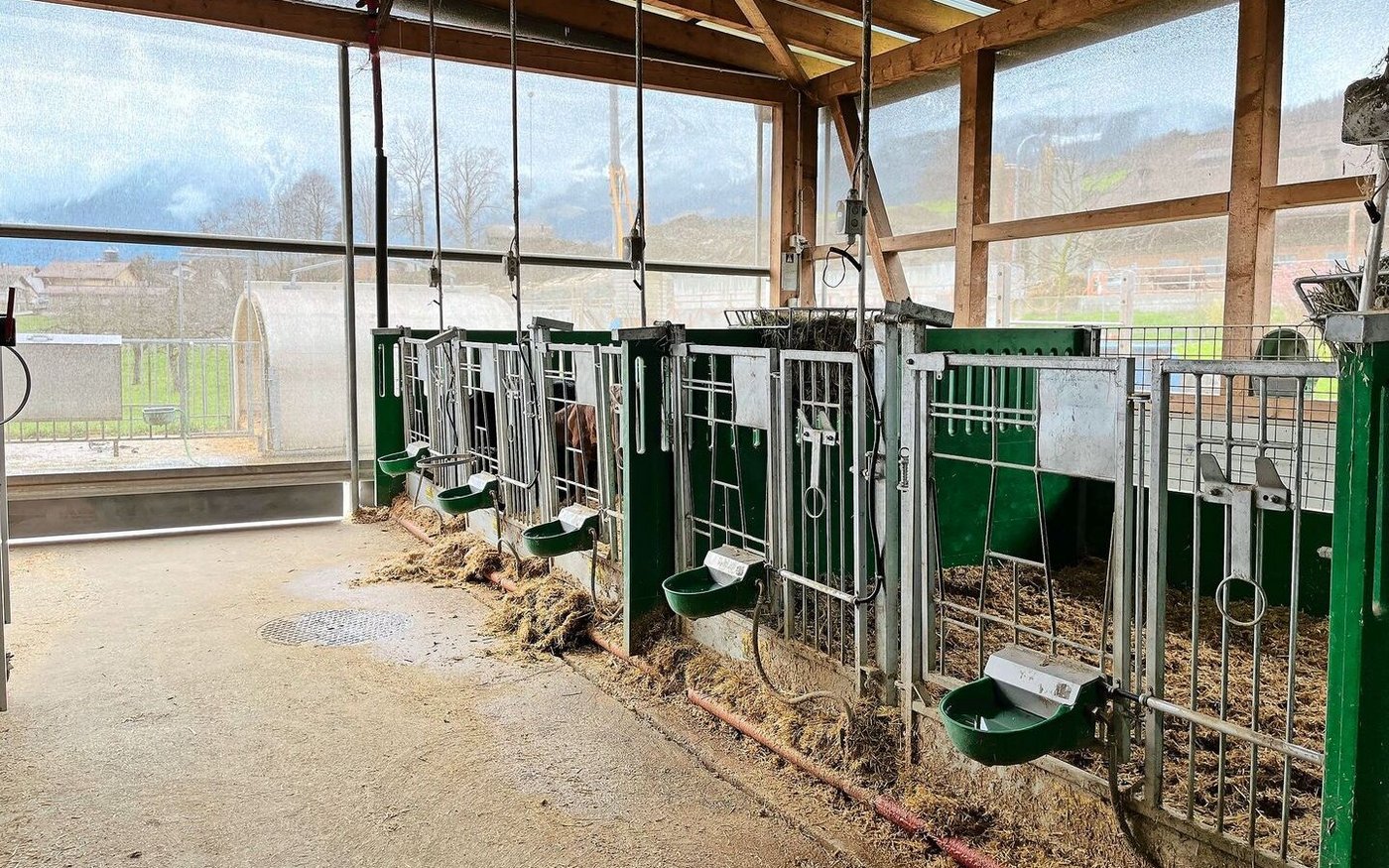 Für das Kälbertränken, das Befüllen der Futterküche, den Kontrollrundgang, die Boxen und das Waschen der Roboter braucht es immer noch Fachkräfte, doch die Roboter reduzieren die tägliche Stallzeit massiv, sagt der Betriebsleiter.