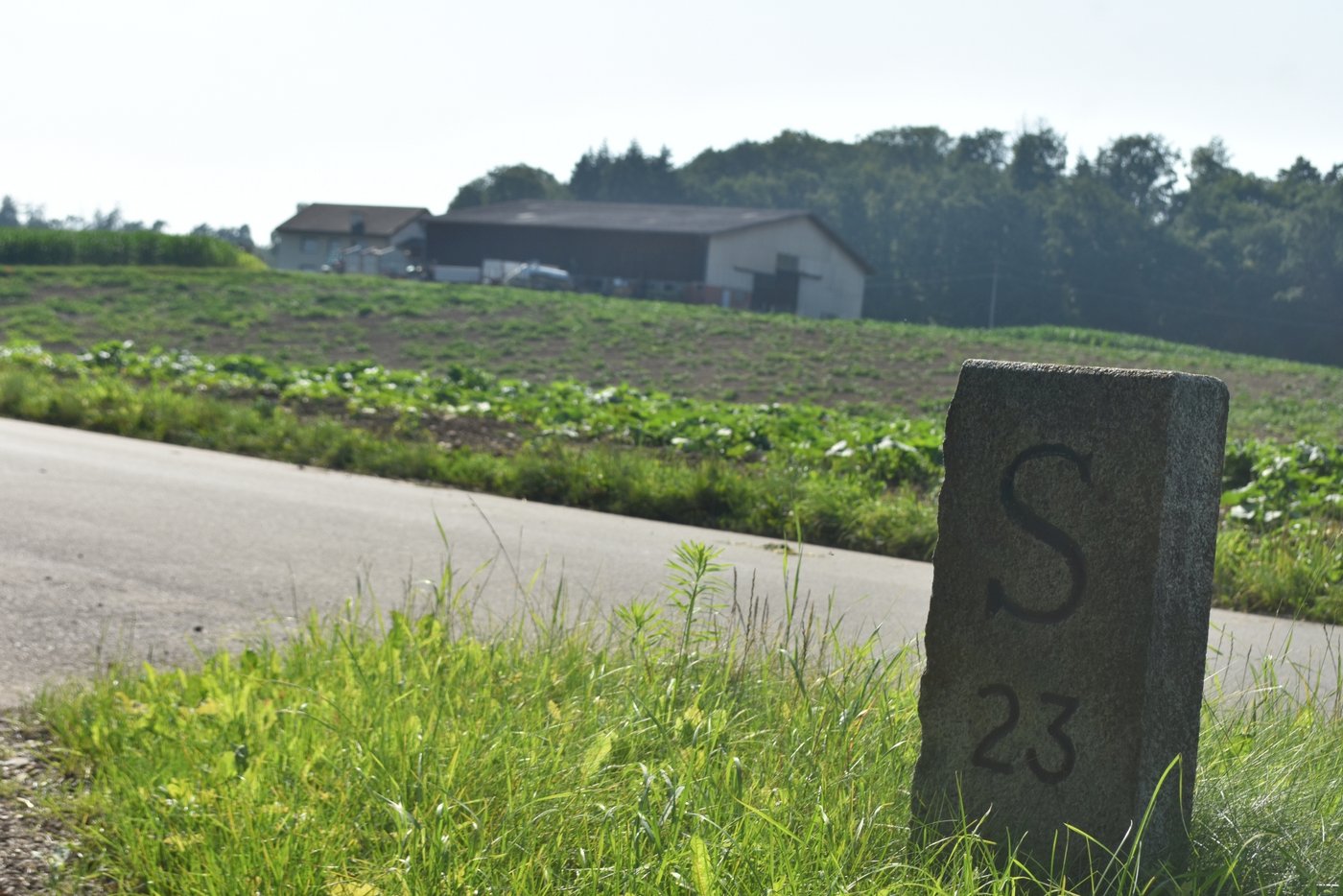 40 Prozent der Betriebe im Kanton Schaffhausen bewirtschaften Land in Deutschland. (Bilder Thomas Güntert)