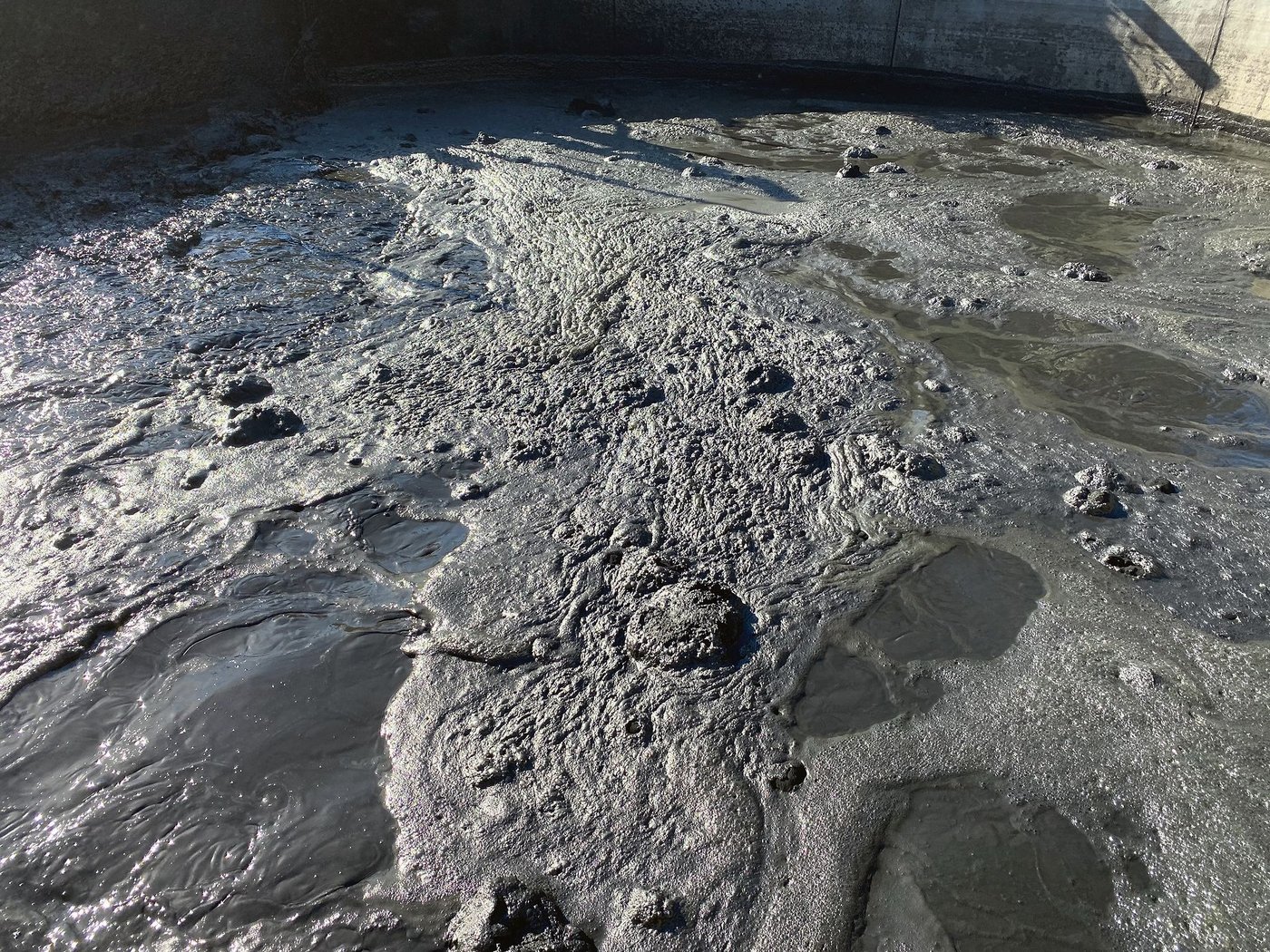 Im Güllesilo wird die fein gemahlene Pflanzenkohle in Dünngülle aus einer Biogasanlage eingerührt.(Bild Bernhard Koch)