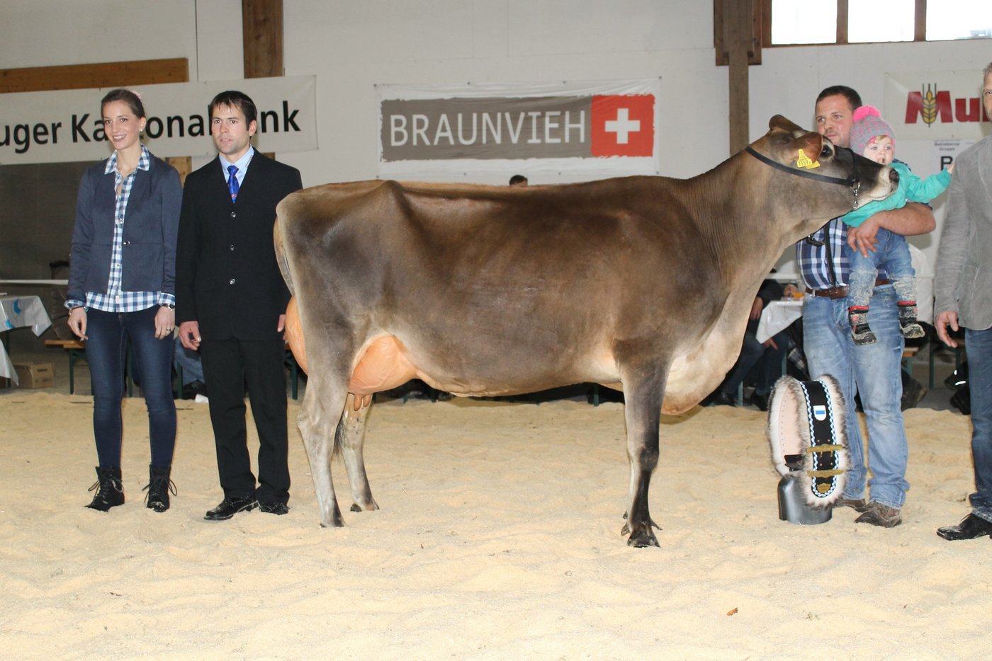 Gefiel den Richtern am besten: Tequila Janine von Marcel Nussbaumer aus Oberägeri gewann bei den Jersey.