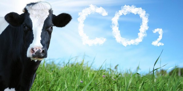 Der SBV sieht die Rolle der Landwirtschaft in Sachen Klimaschutz und was das CO2-Gesetz betrifft vor allem in der Produktion erneuerbarer Energie- und Heizsysteme. (Bild SBV)