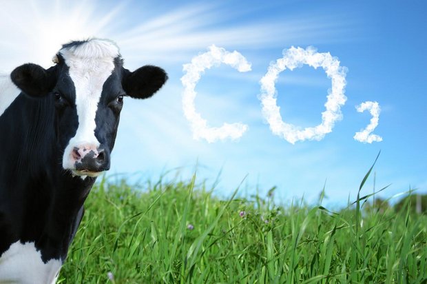 Der SBV sieht die Rolle der Landwirtschaft in Sachen Klimaschutz und was das CO2-Gesetz betrifft vor allem in der Produktion erneuerbarer Energie- und Heizsysteme. (Bild SBV)