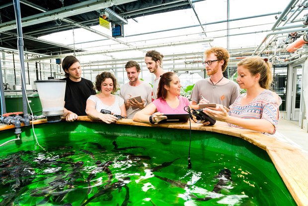 Forschende und Studierende an der Arbeit in den Fischzuchtanlagen im Campus Grüental. (Bild ZHAW)