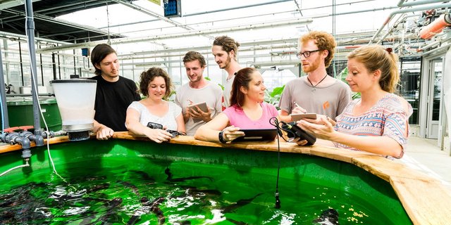 Forschende und Studierende an der Arbeit in den Fischzuchtanlagen im Campus Grüental. (Bild ZHAW)