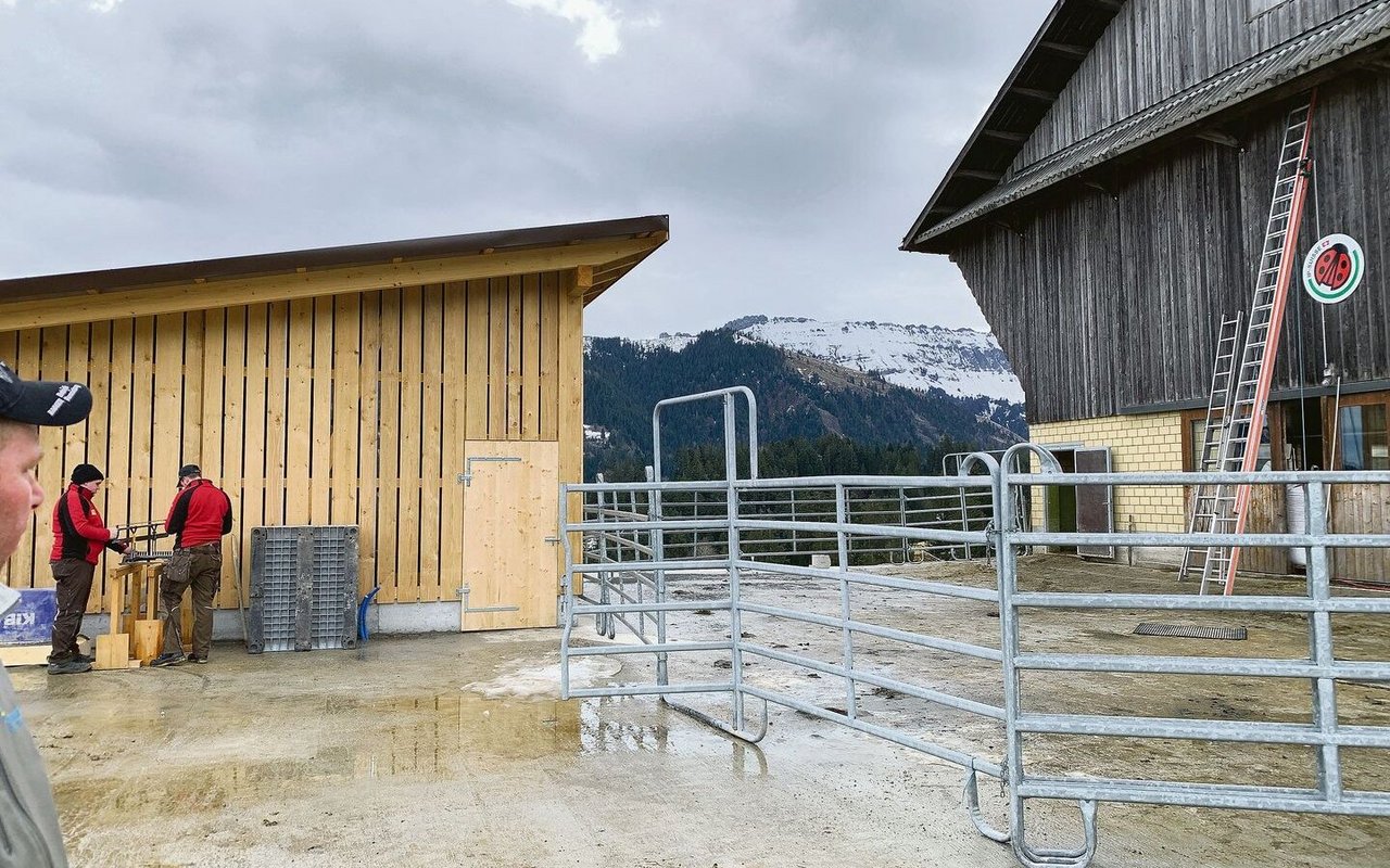 Der vergrösserte Laufhof bei der Scheune. Links der Holzverschlag für den Gasballon. 