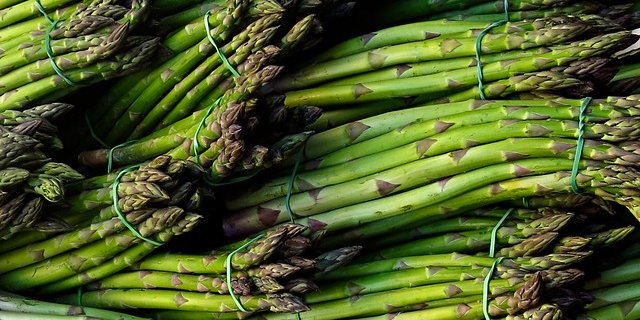 Längst nicht alle Spargeln schaffen es vom Feld auf den Teller. (Bild zVg)