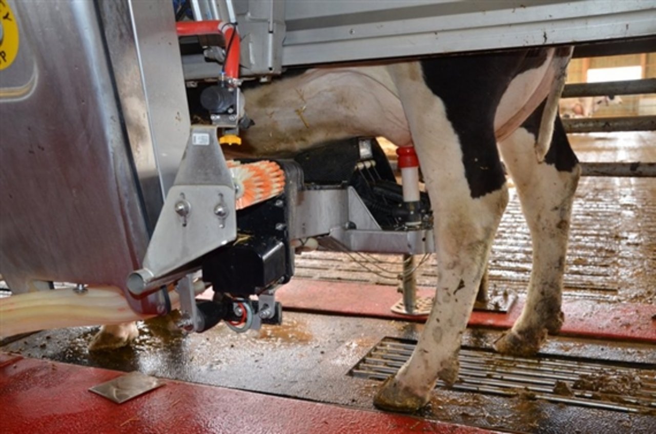 Laut den Schweizer Milchproduzenten, muss die landwirtschaftliche Forschungsanstalt des Bundes weiterhin praxisnahe Forschung zugunsten der Milchwirtschaft erbringen können. (Bild Aline Küenzi)