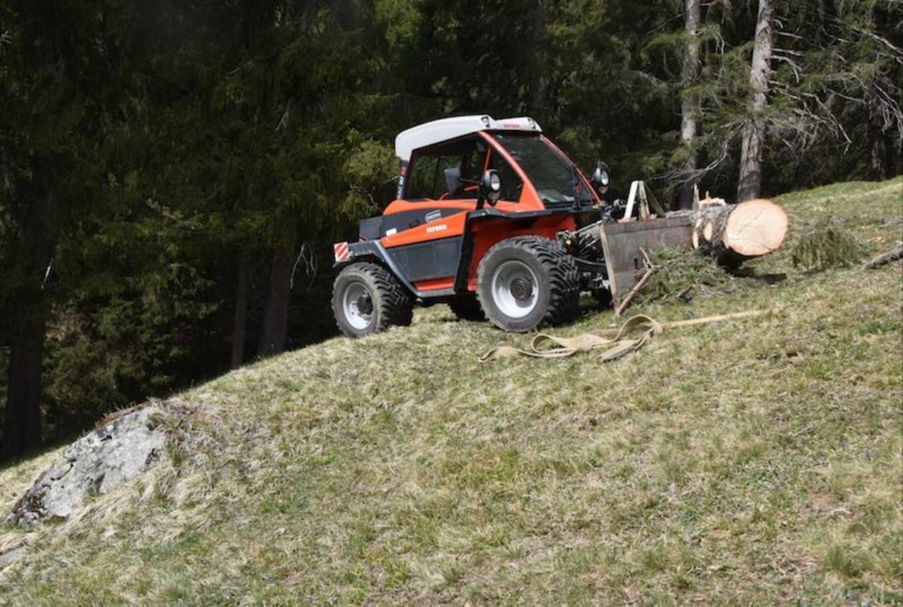 Beim Holzen kommt es immer wieder zu tödlichen Unfällen. (Bild Kapo Graubünden)