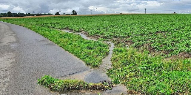 Niederschläge können Pflanzenschutzmittel und Dünger in Schächte leiten.