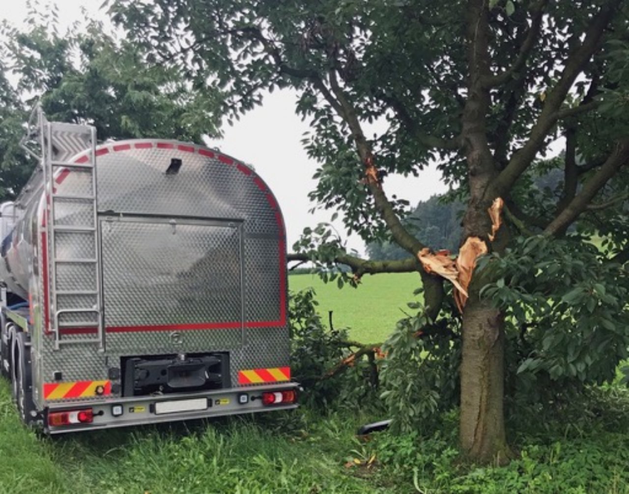 Beim Unfall kam es an Lastwagen und Baum zu einem Sachschaden von rund 50'000 Franken. (Bild Luzerner Polizei)
