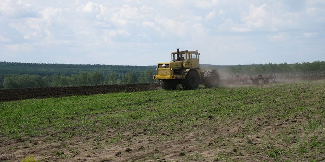 Die russischen Sanktionen dürften Investoren abschrecken, in die Land- und Ernährungswirtschaft des Landes zu investieren. (Bild: Станислав Мельников)