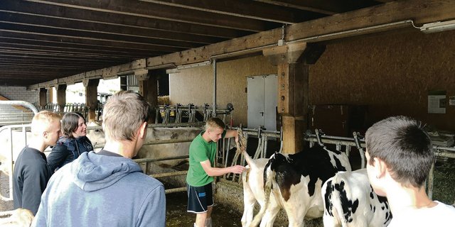 Tierhaltung ist in den allermeisten Fällen das Lieblingsfach: Doch auch Themen wie das Image der Bauern in der Gesellschaft oder Agrarpolitik interessieren Lernende schon, zumindest in Massen. (Bild Jeanne Woodtli/BauernZeitung)