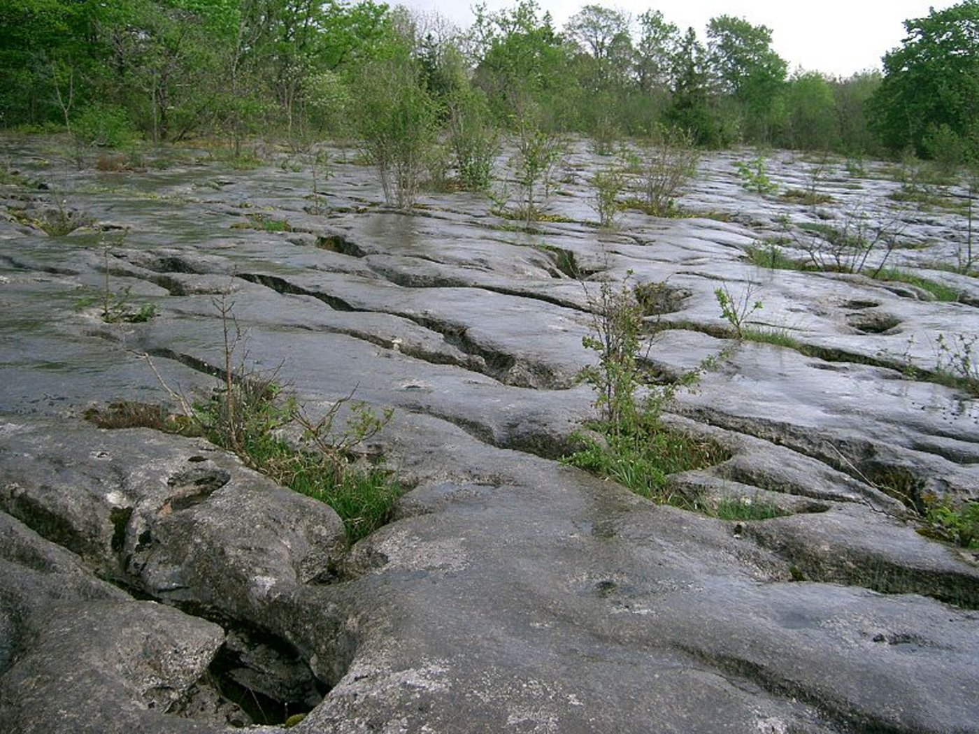 Im Jura-Karst haben sich Schadstoffe aus der Uhrenproduktion angereichert. (Bild PRA)