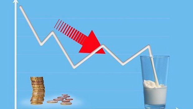 Die globalen Milchpreise sind unter Druck. (Bild Age)