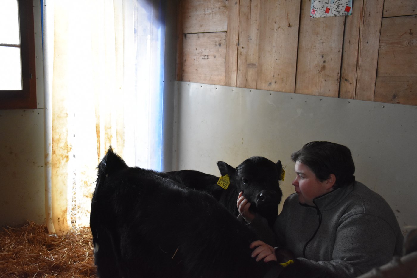 Von klein an wird der enge Körperkontakt gepflegt. (Bild BauernZeitung/sjh)